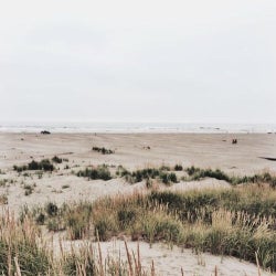 Mit dem Raumschiff an der Ostsee