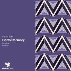 Eidetic Memory