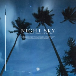 Night Sky