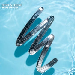 Shake The Funk