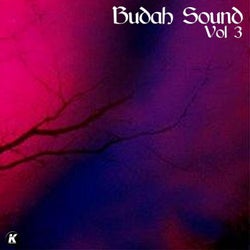 Budah Sound, Vol. 3