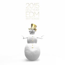 New Year 2015 Best EDM Songs From Electric Station