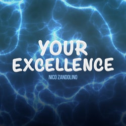 Your Excellence