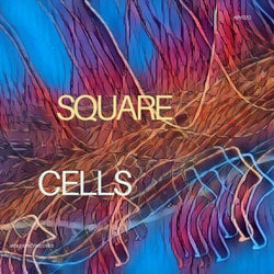 Square Cells