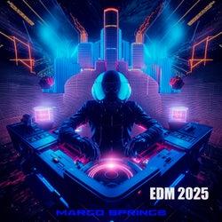 EDM 2025 (Afro House, Melodic Techno, Organic House)