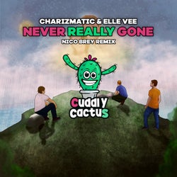 Never Really Gone - Nico Brey Remix