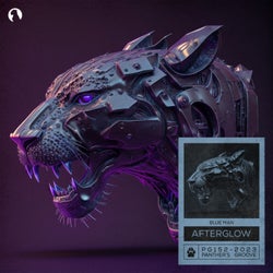Afterglow (Extended Mix)
