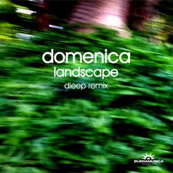 Landscape / Dieep Remix