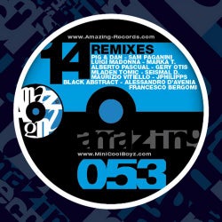 14 Remixes