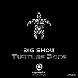 Turtle's Pace