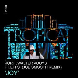 Joy (Joe Smooth Remix)