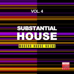 Substantial House, Vol. 4 (Modern House Guide)