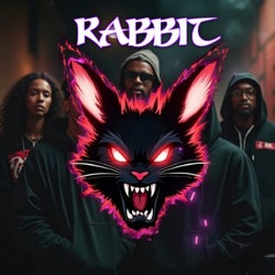 Rabbit Guitar Type beat