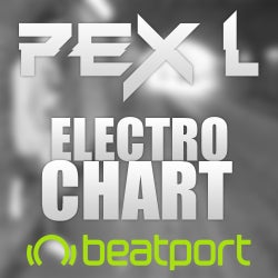 Pex L - Electro Chart
