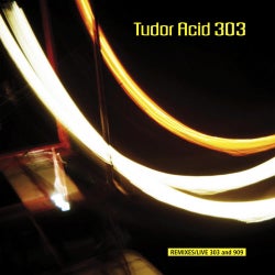 Tudor Acid 303