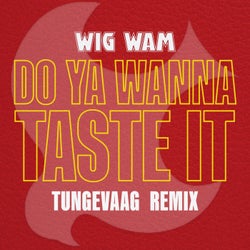 Do Ya Wanna Taste It (Tungevaag Remix)