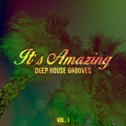 It's Amazing - Deep House Grooves, Vol. 1