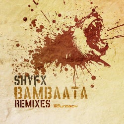 Bambaata (Break/Dillinja Remixes)