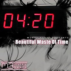 Beautiful Waste Of Time