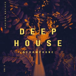 Deep-House and Champagne, Vol. 2