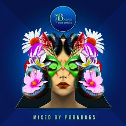 Cover art for Deep Value, Vol. 4 (Mixed by Pornbugs)