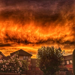 Hellfire X