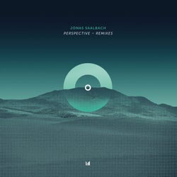 Perspective Remixes