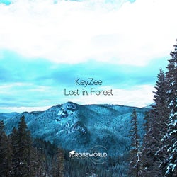 Lost In Forest