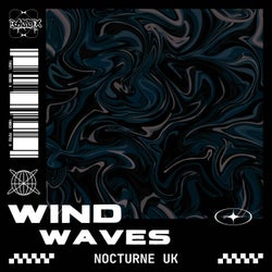 Wind Waves