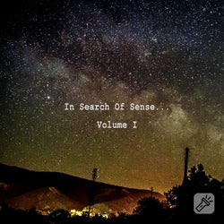 In Search Of Sense. Volume I