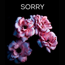 Sorry