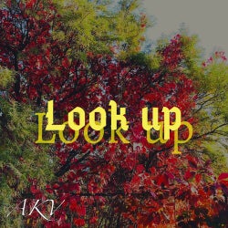 Look Up