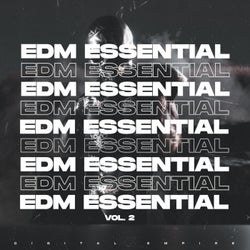 EDM ESSENTIAL 2024, Vol. 2