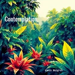Contemplation