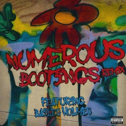Numerous Bootings Remix