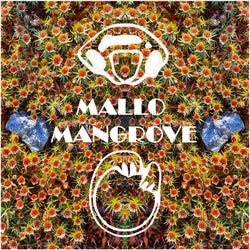 Mallo Mangrove