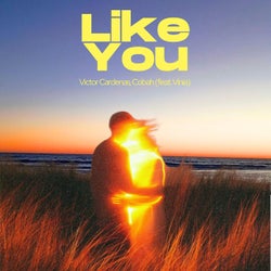 Like You (Extended)