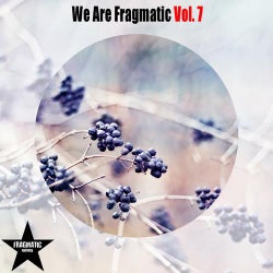 We Are Fragmatic, Vol. 7