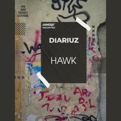 Hawk (Original Mix)