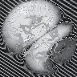 Ambifluid