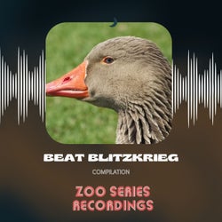 Beat Blitzkrieg