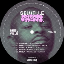 Selville Selects Vol. 02 - Compiled By AndileAndy