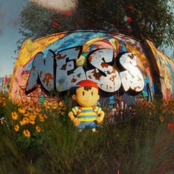 Ness