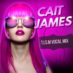T.I.S.M (Vocal Mix)