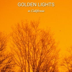 Golden Lights in California
