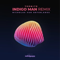 Termite Indigo Man Remix