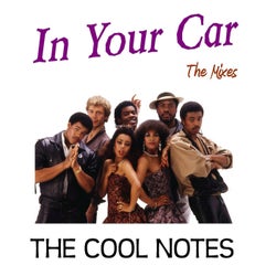 In Your Car (The Mixes)