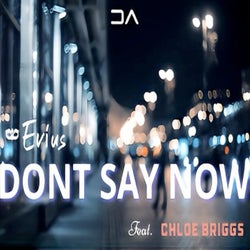 Don't Say Now (feat. Chloe Briggs)