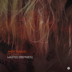 Wasted - Remixes