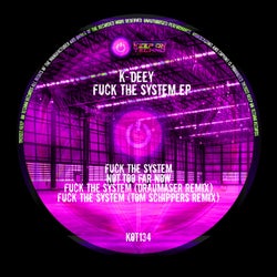 Fuck The System EP
